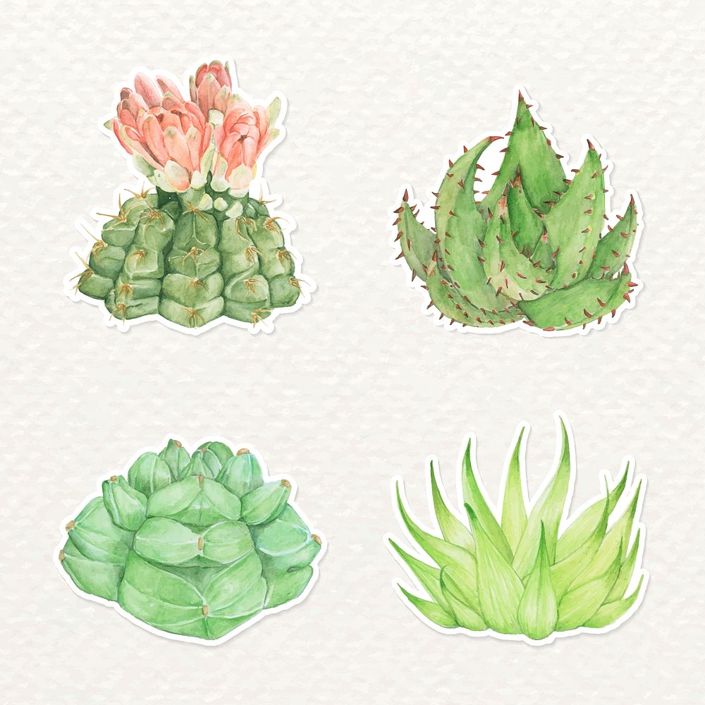 Succulent and aloe sticker watercolor vector set