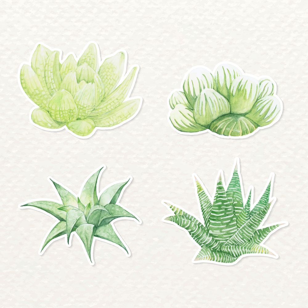 Succulent plant sticker vector set