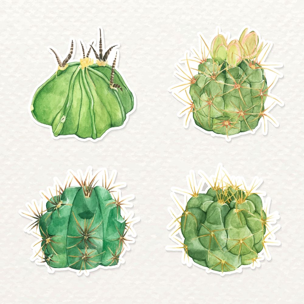 Cactus sticker vector set