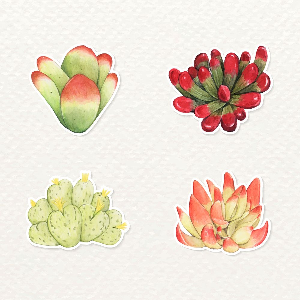 Succulent and cactus watercolor sticker vector