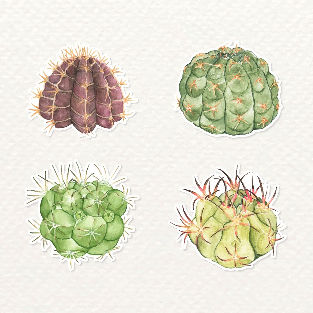 Cactus watercolor sticker vector set
