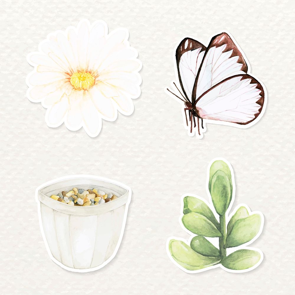 Butterfly and succulent sticker vector set