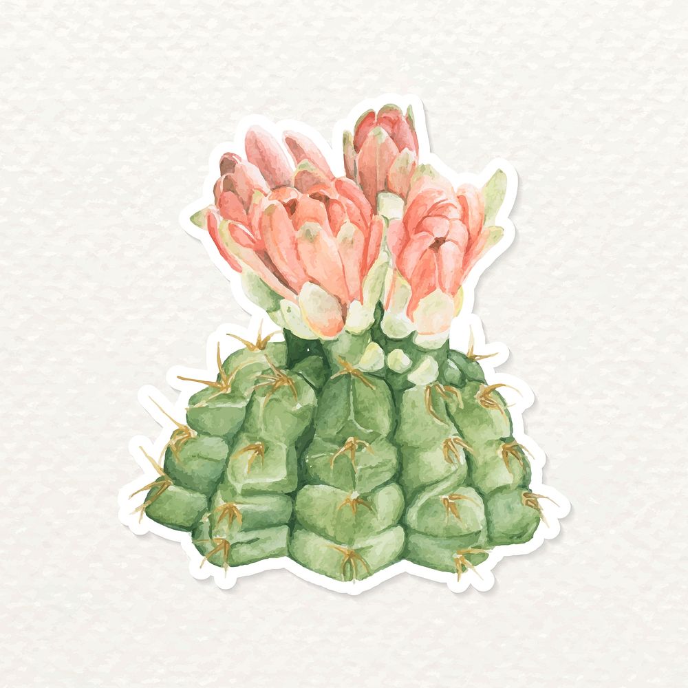 Spider cactus with flower watercolor sticker vector