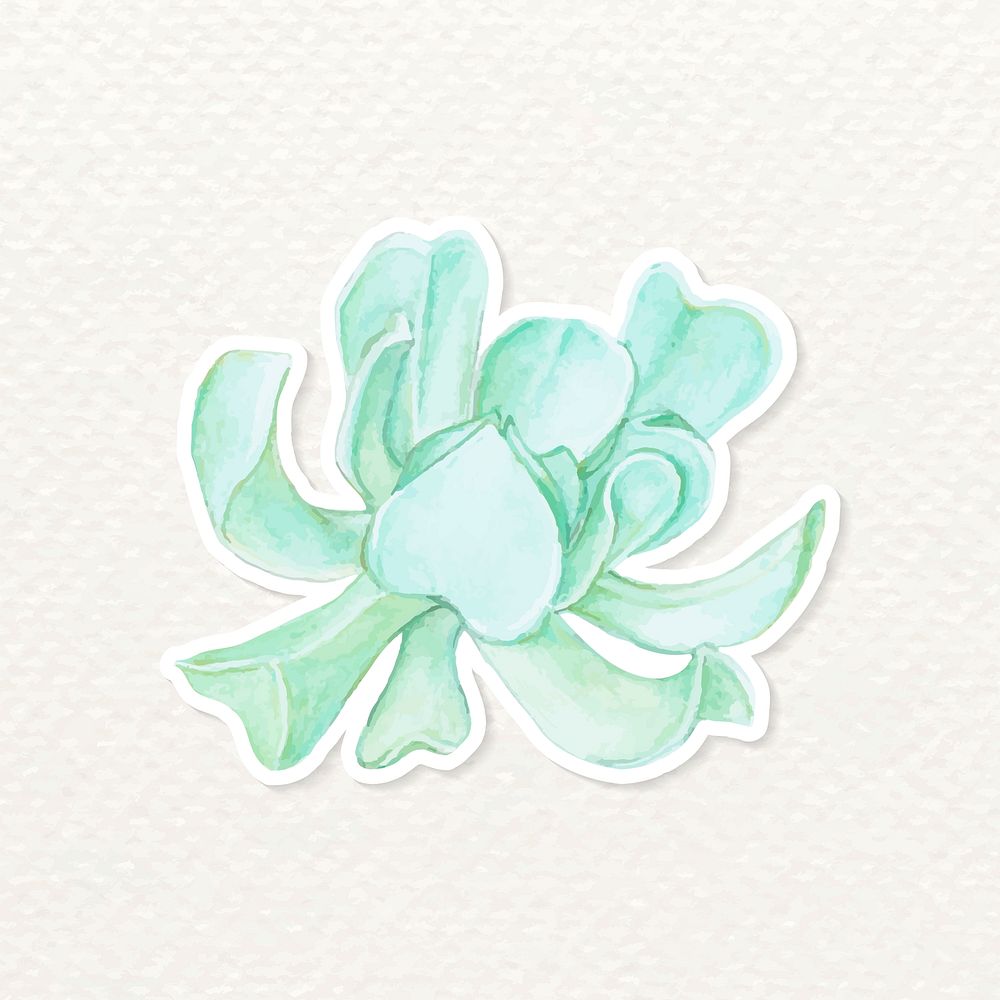 Succulent watercolor sticker vector