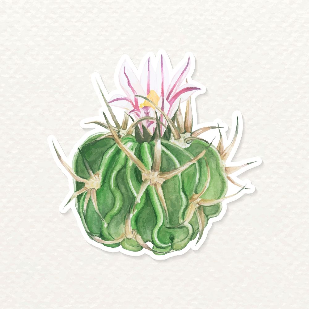 Cactus watercolor sticker vector