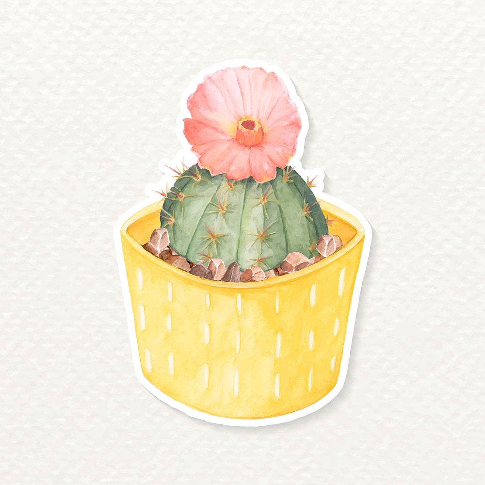 Chin cactus watercolor sticker vector