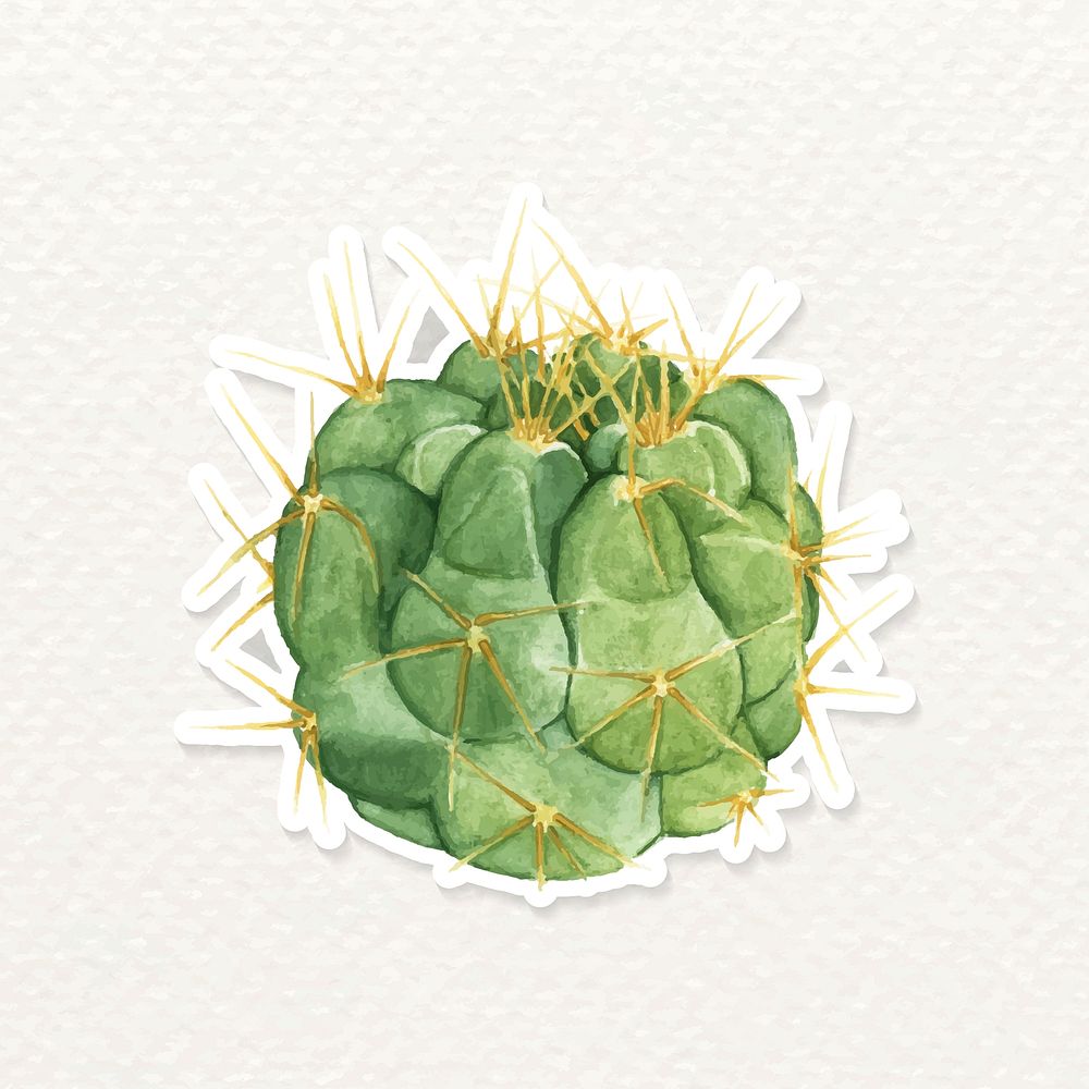 Gymnocalycium capillaense cactus sticker vector