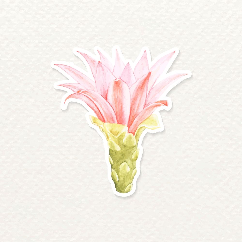 Spider cactus flower watercolor sticker vector