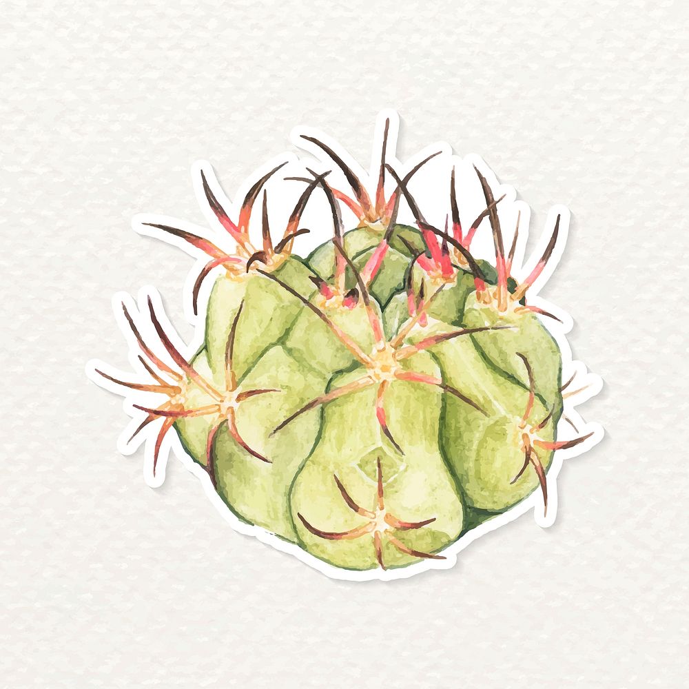 Cactus watercolor sticker vector | Premium Vector - rawpixel