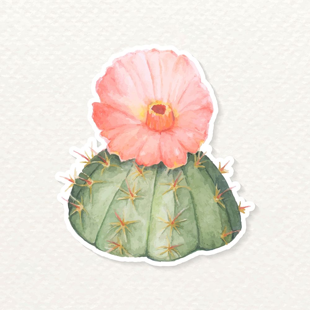 Chin cactus watercolor sticker vector
