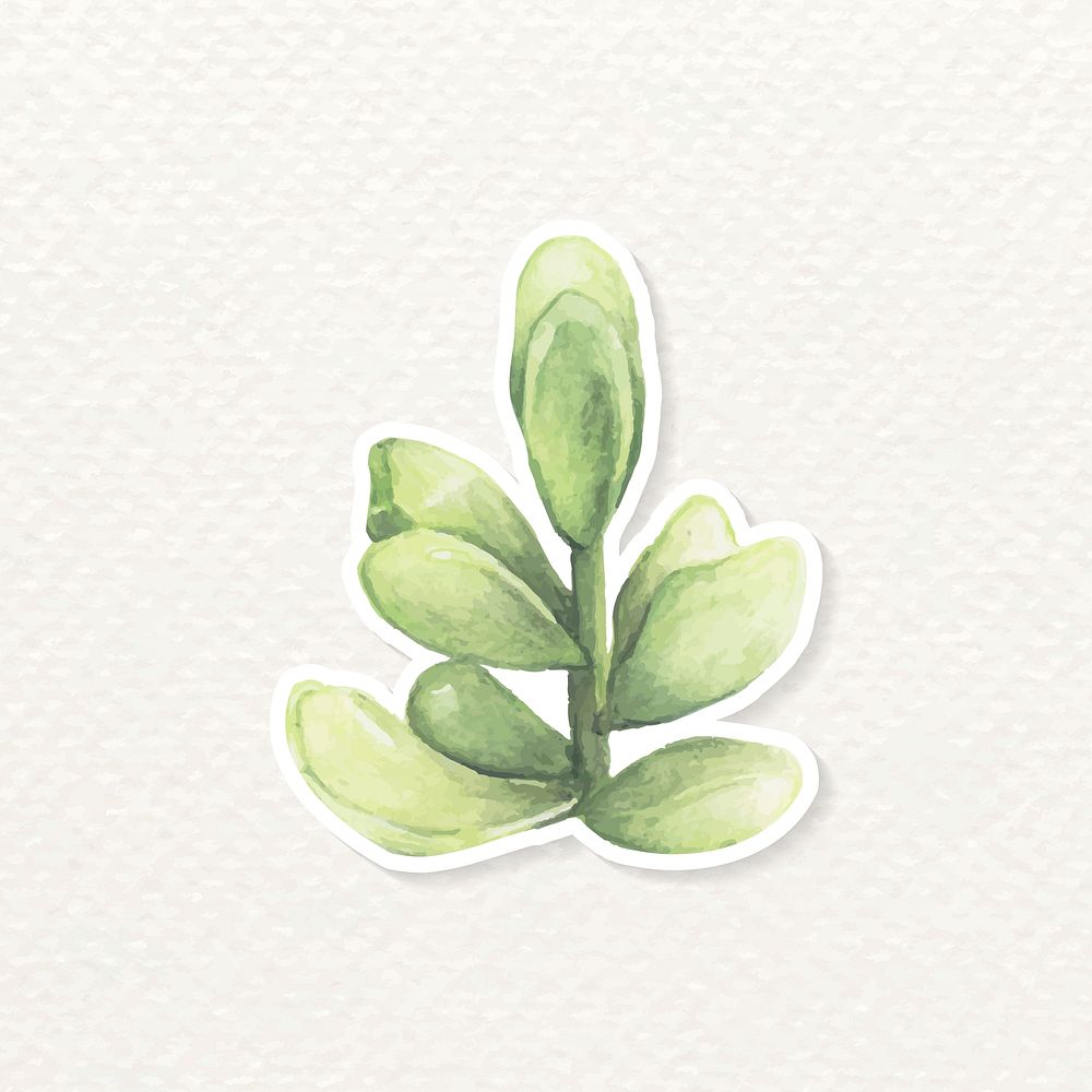 Ssucculent watercolor sticker vector