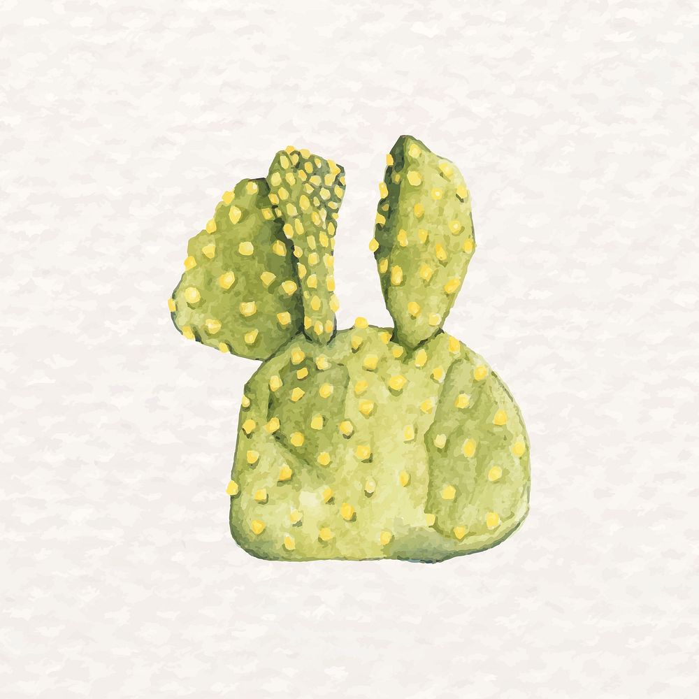 Watercolor bunny ears cactus psd Opuntia microdasys