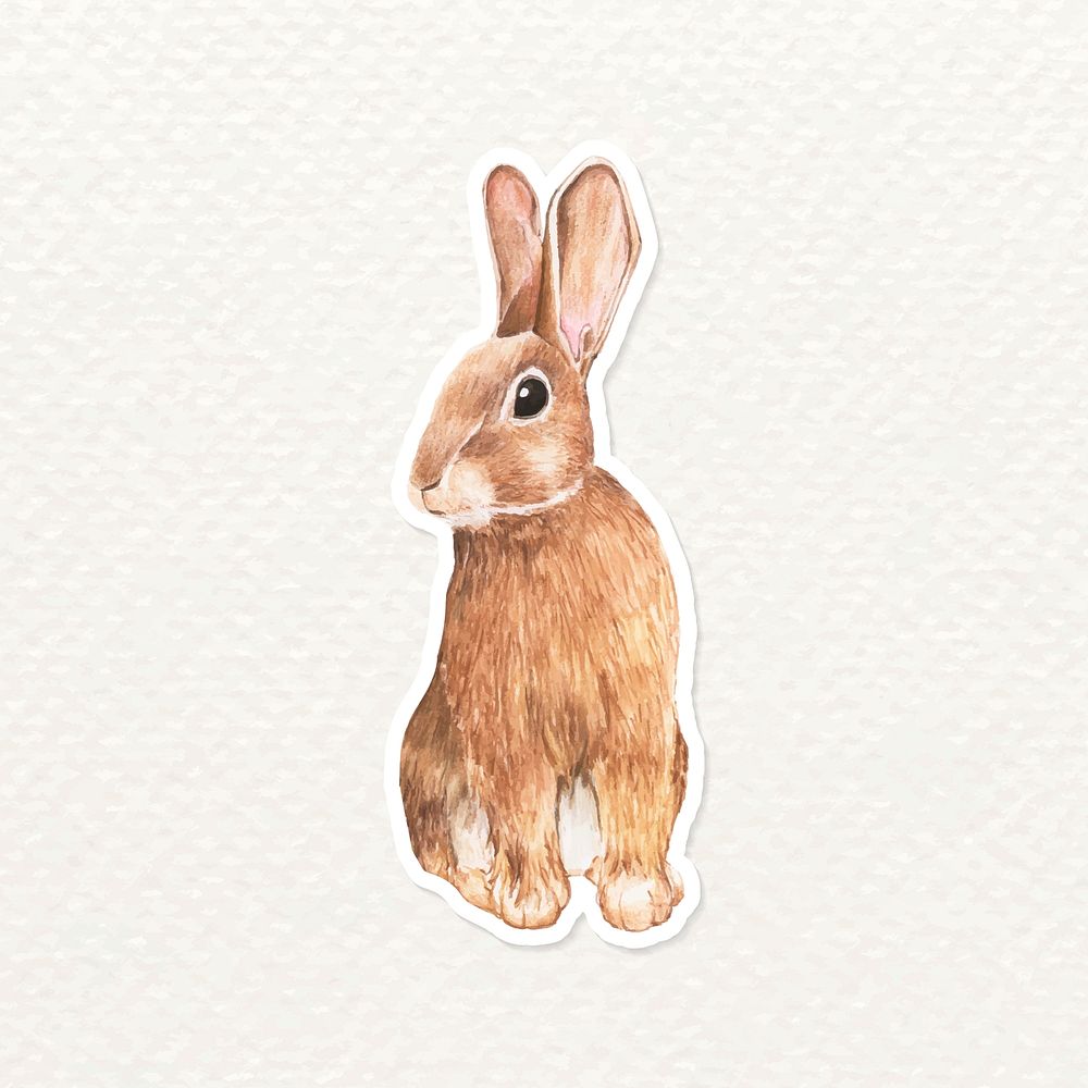 Hand drawn rabbit sticker vector