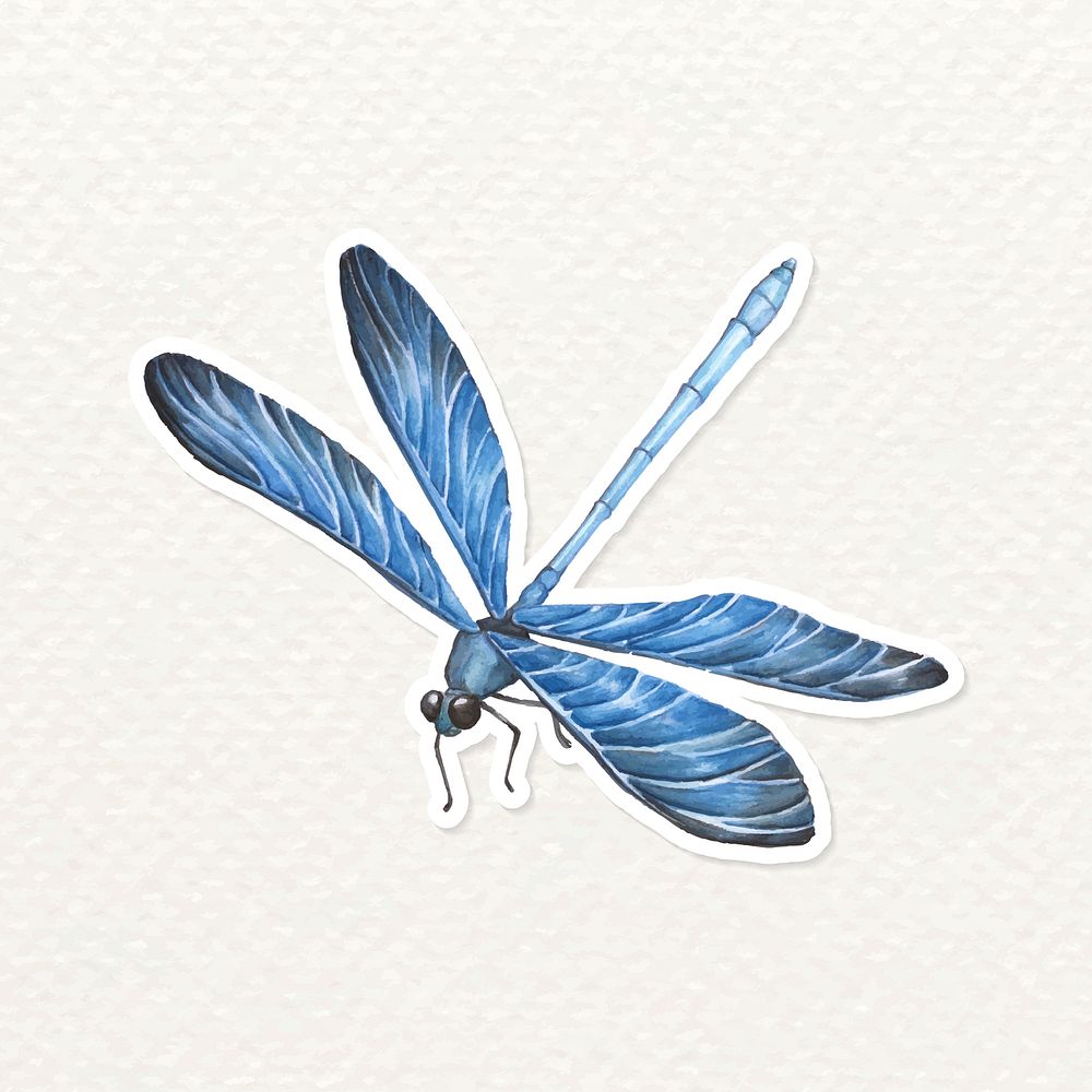 Hand drawn blue dragonfly sticker vector