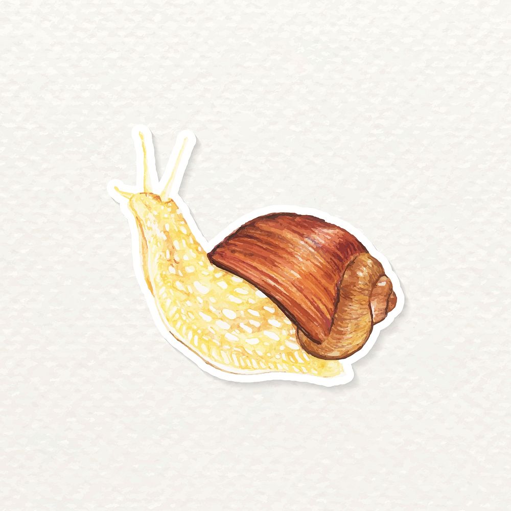 Watercolor crawling snail sticker vector