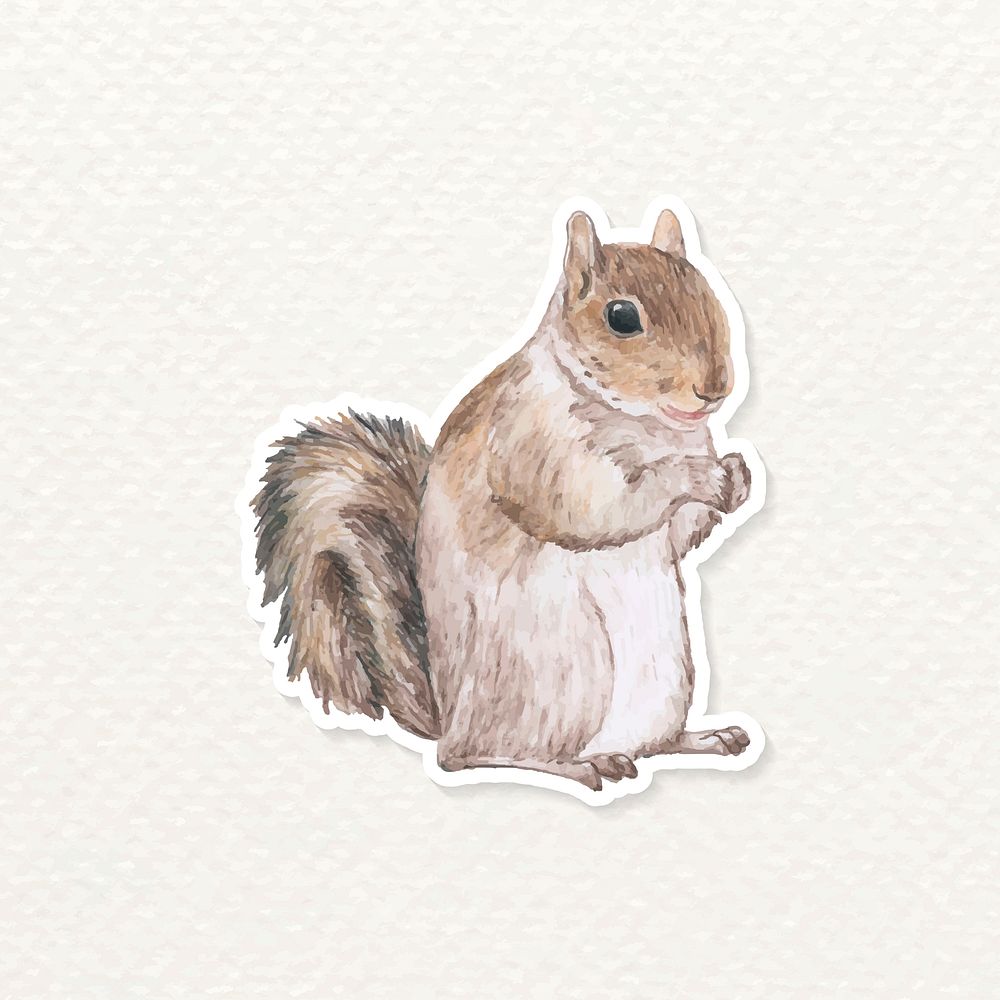 Watercolor squirrel animal sticker vector