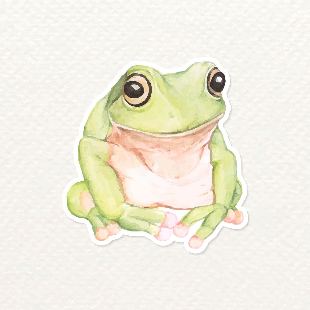 Hand drawn green tree frog sticker vector