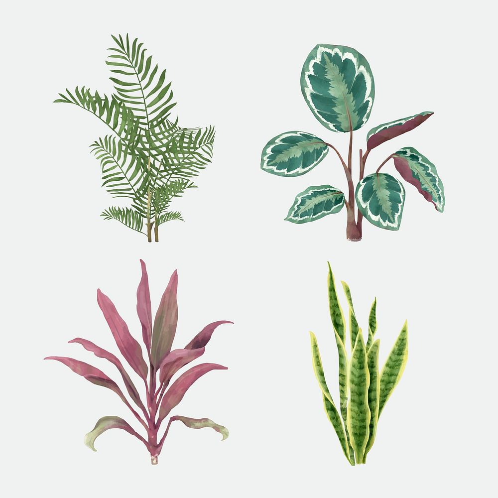 Tropical watercolor leaf plant vector set