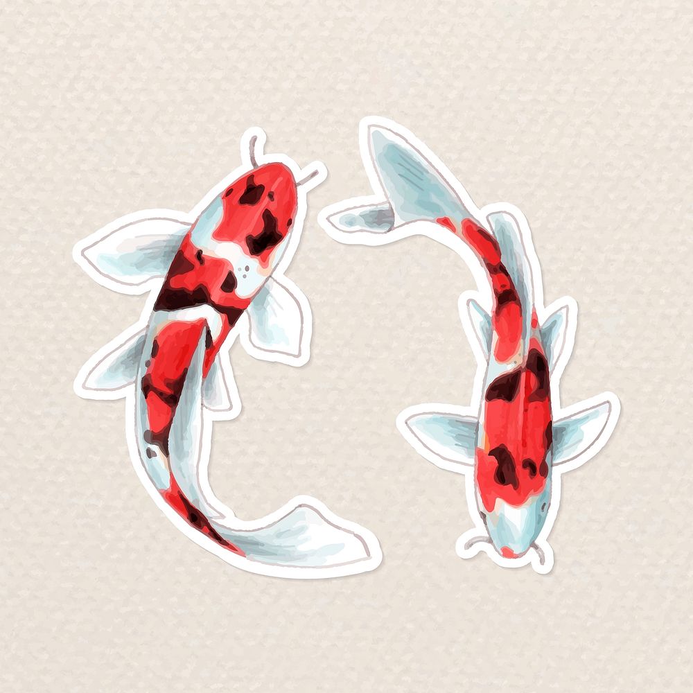Japanese koi fish sticker cartoon illustration vector