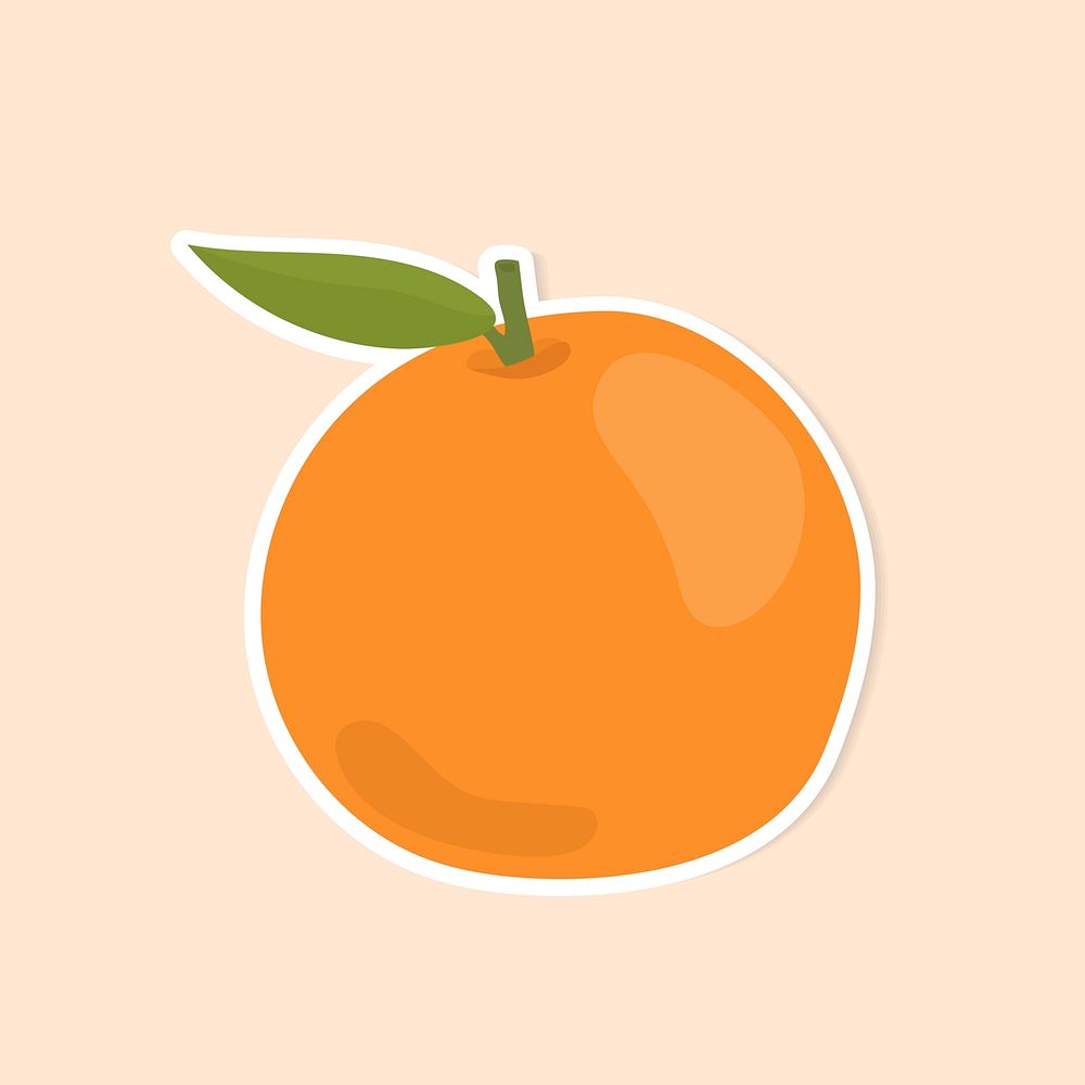 Vector pastel orange fruit sticker cartoon clipart