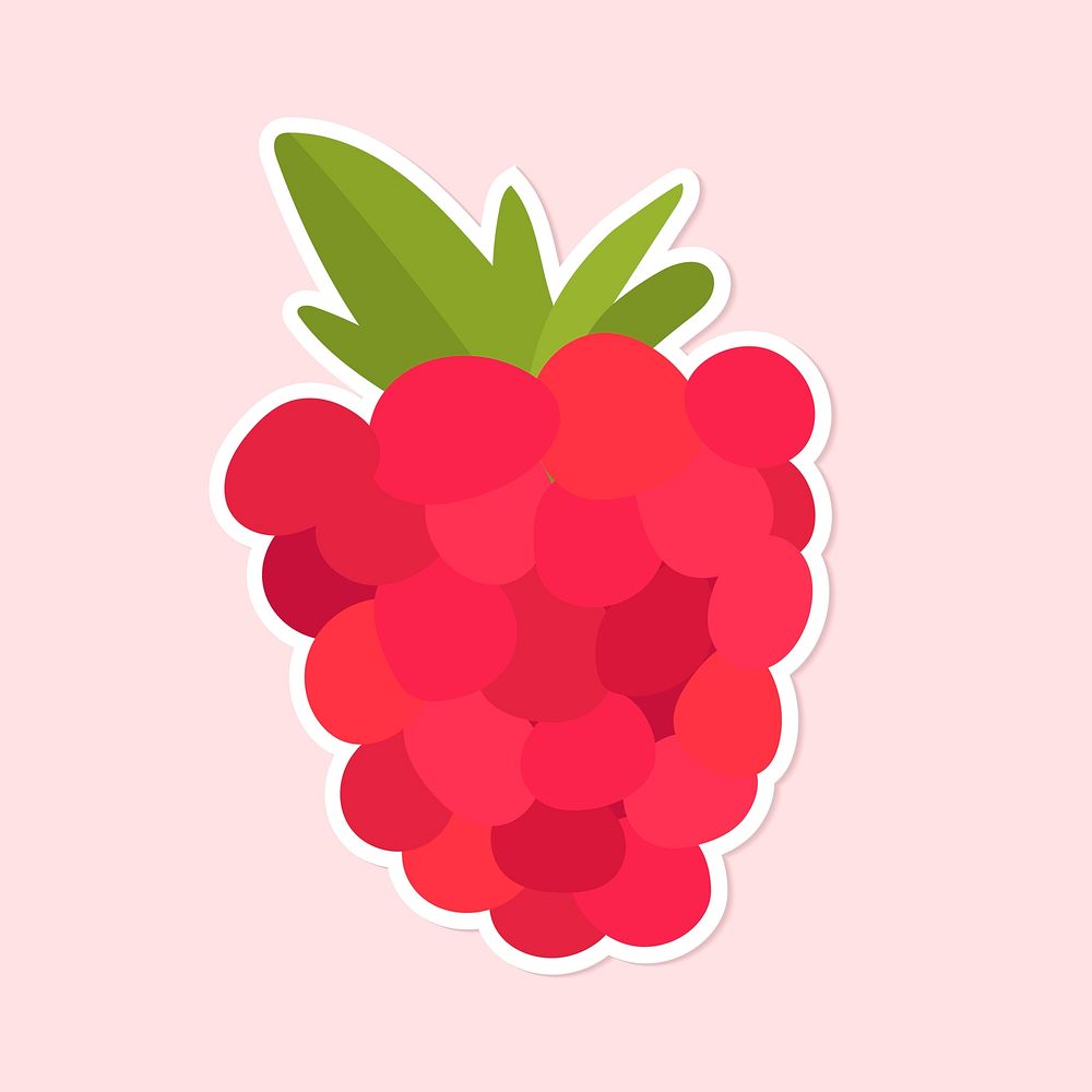 Vector colorful raspberry fruit sticker clipart