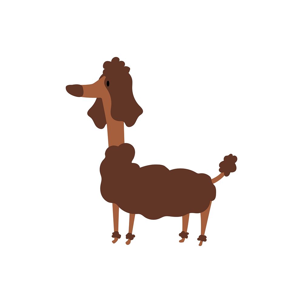 Brown poodle flat illustration