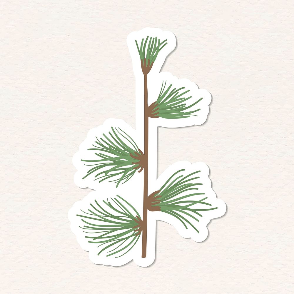 Cute pine tree branch sticker with a white border vector