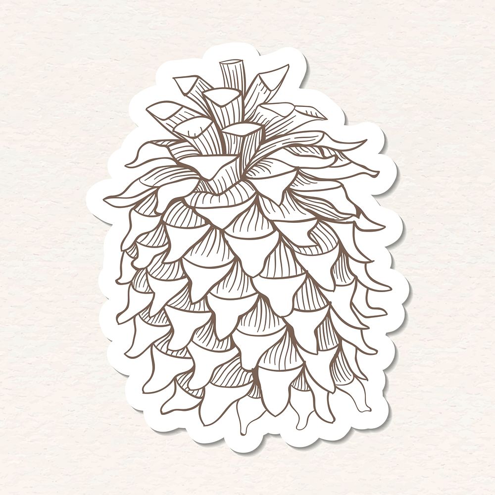 Coulter pine cone sticker with a white border vector