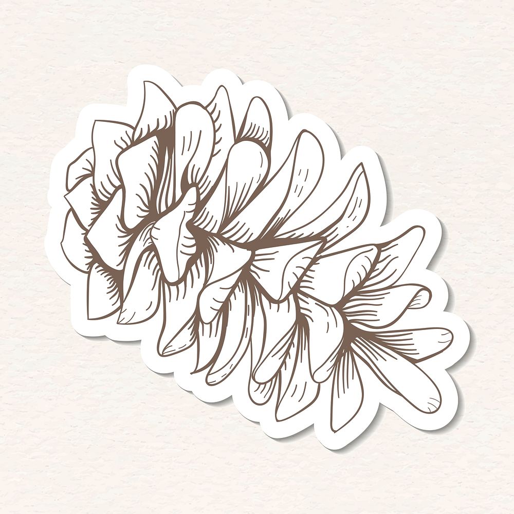 Brown and white limber cone sticker with a white border vector