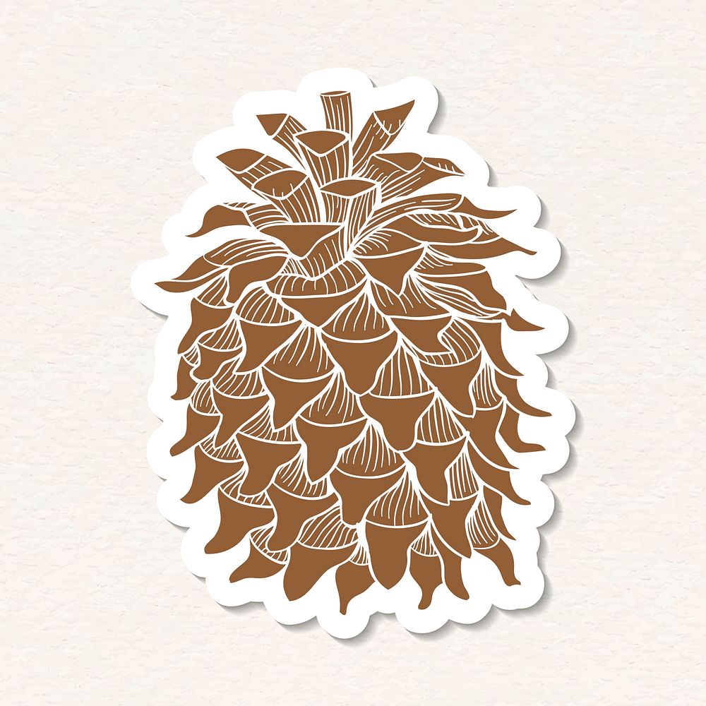 Coulter pine cone sticker with a white border vector