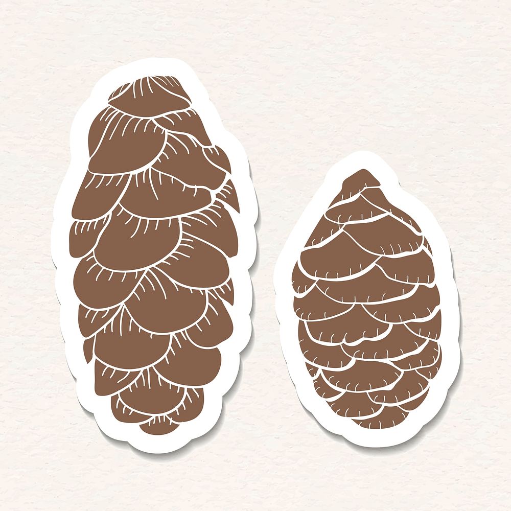 Picea glauca pine cone sticker with a white border vector