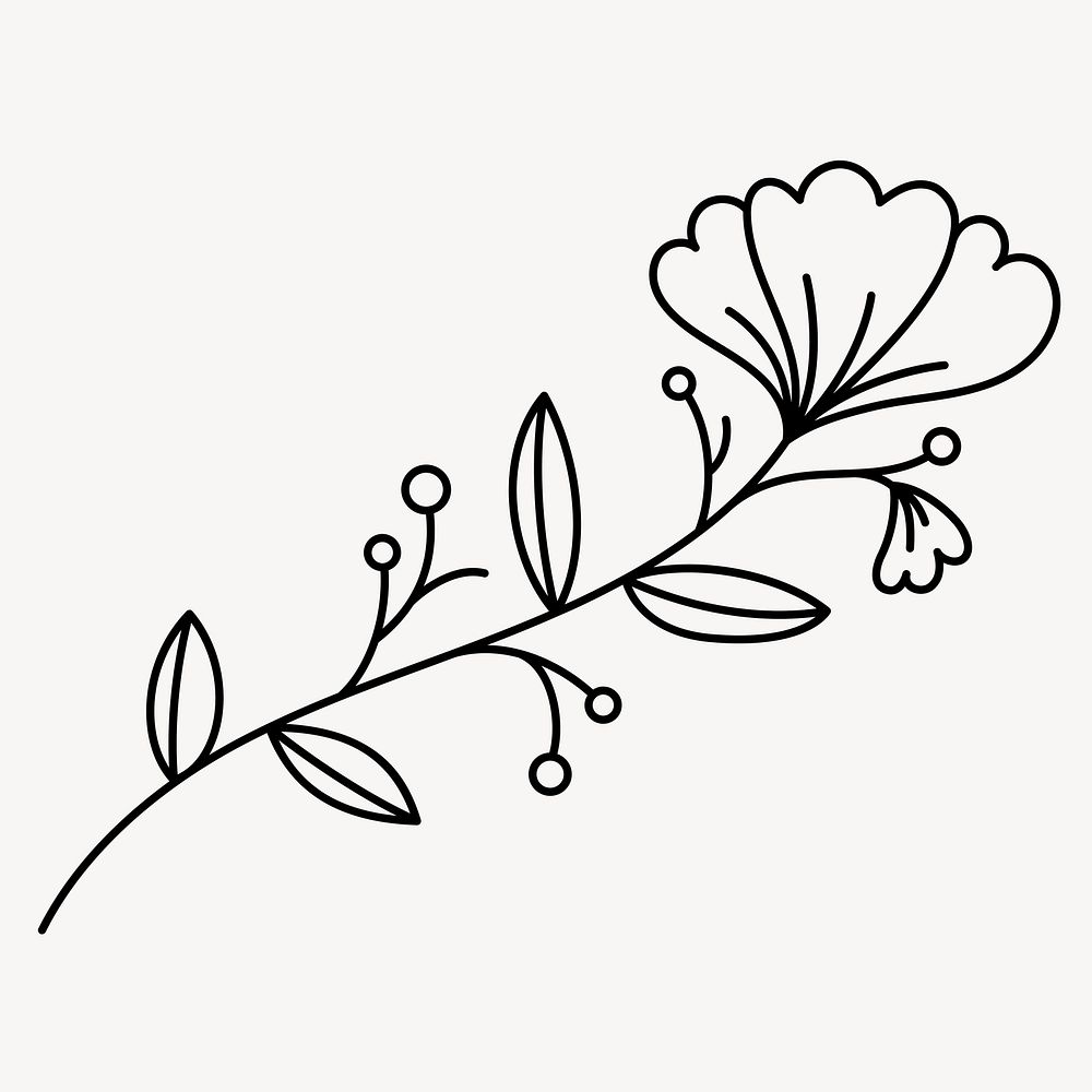 Flower line art collage element, botanical design vector