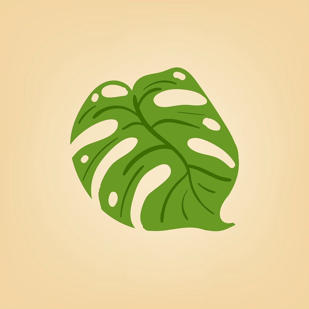 Green monstera leaf on a beige background vector