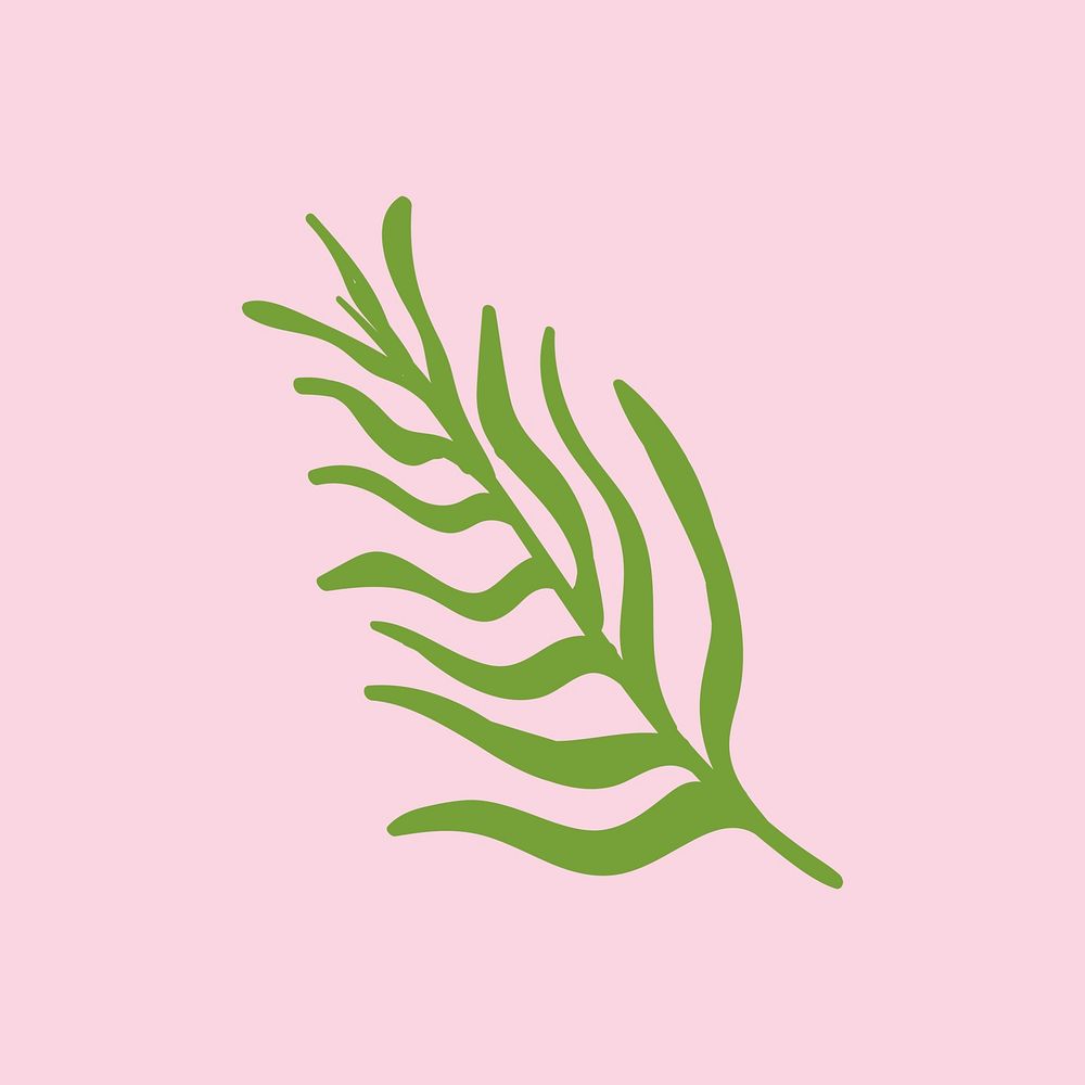 Green tropical leaf on a pink background 