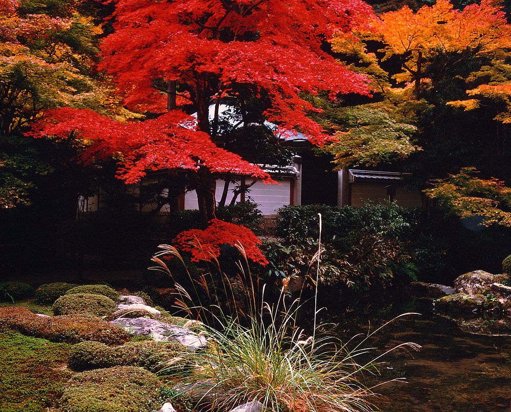 Garden, Kyoto, Japan, location unrecorded but believed to be Nanzenji. Original public domain image from Wikimedia Commons