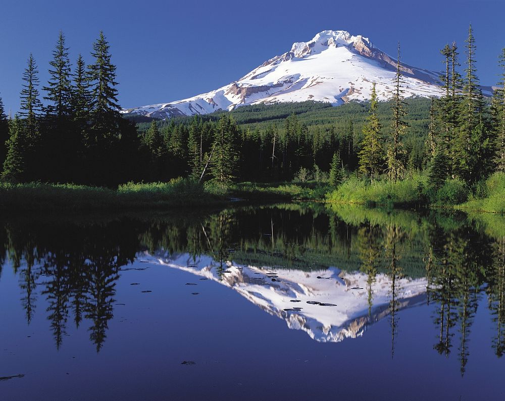 Mount Hood reflected in Mirror Lake, Oregon, USA. Original public domain image from Wikimedia Commons