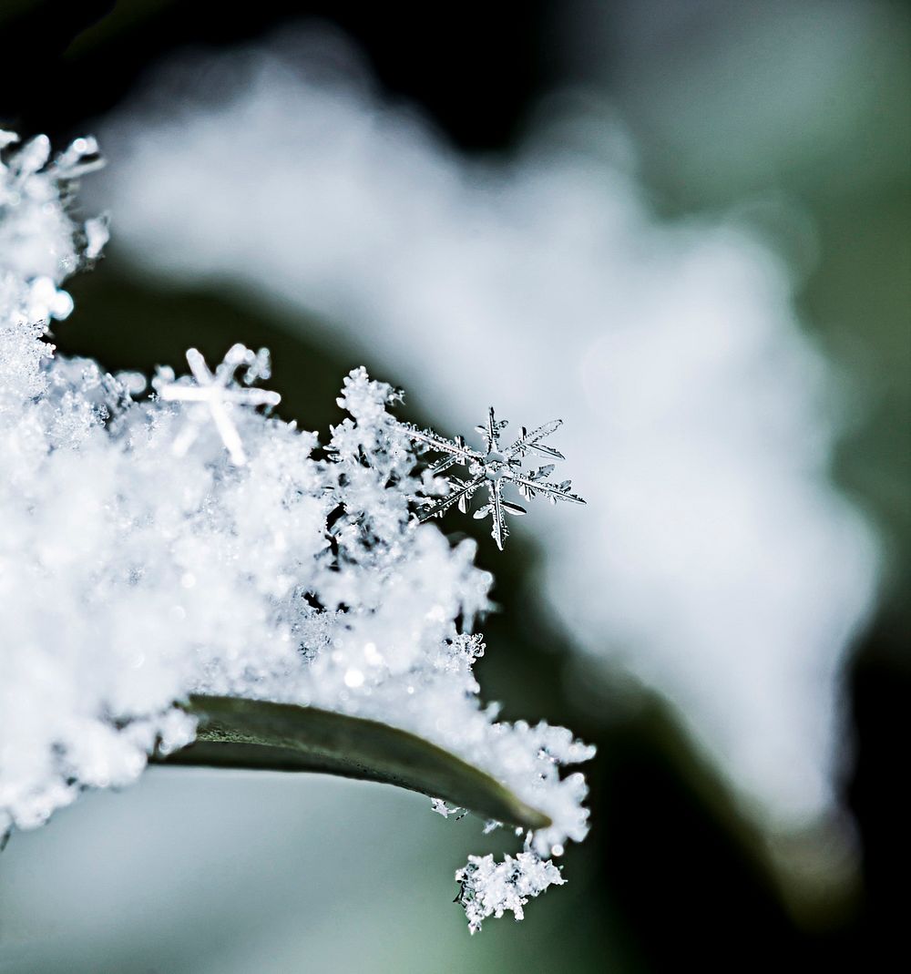 Snowflake macro, used external flash on camera. Original image from Wikimedia Commons