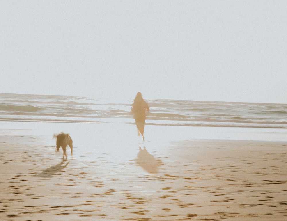 Woman and her dog playing at the beach