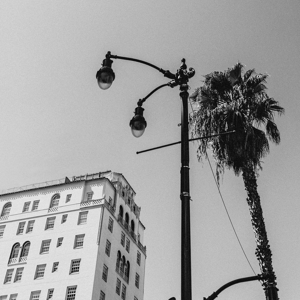 Street photography from Los Angeles