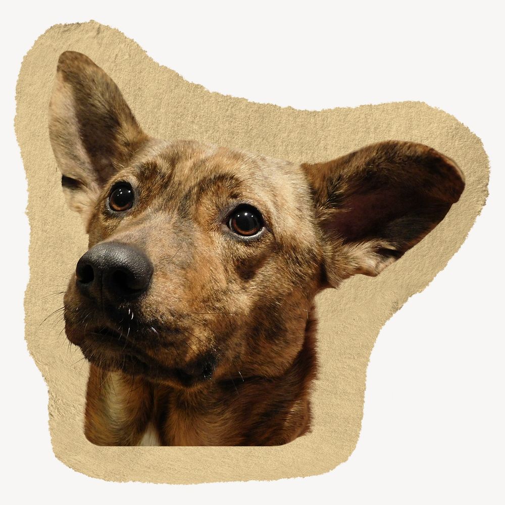 Brown dog collage element, torn paper design 
