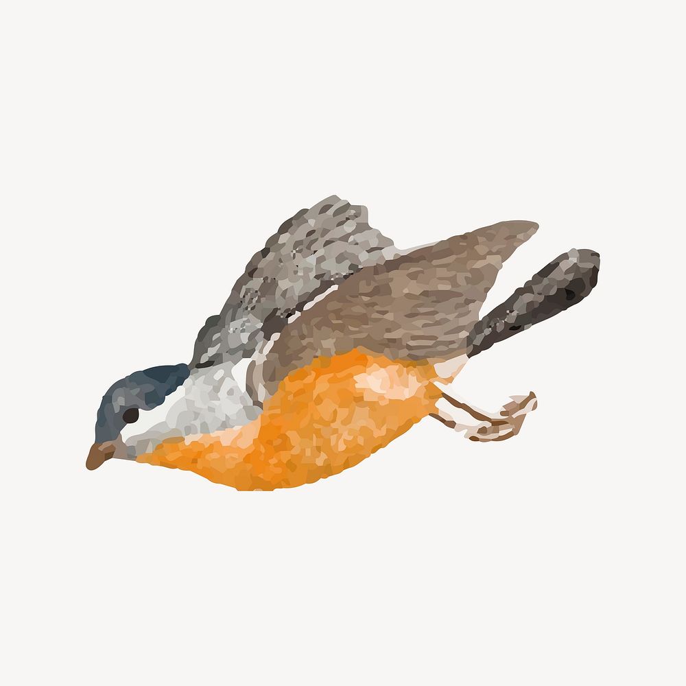 Robin bird collage element, Johan Teyler's art, remixed by rawpixel vector