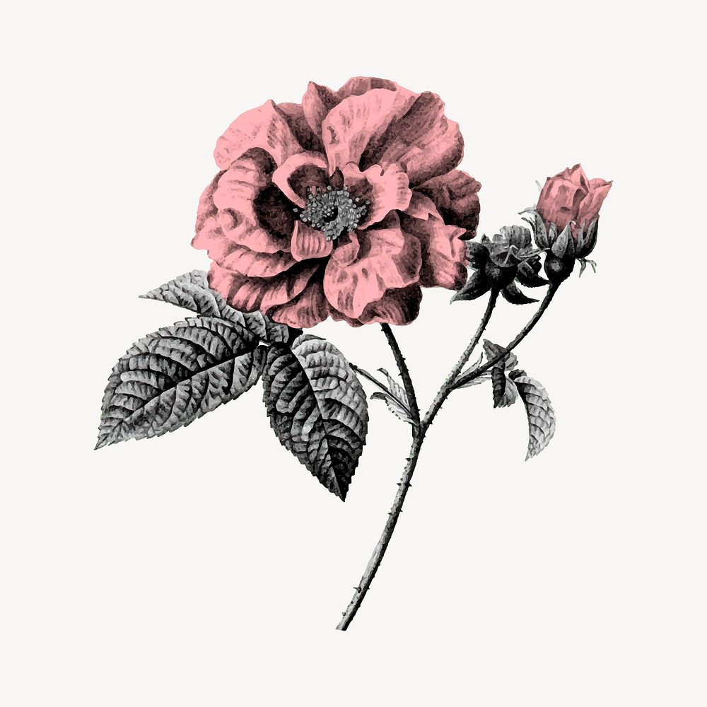 Flower vintage illustration design element vector