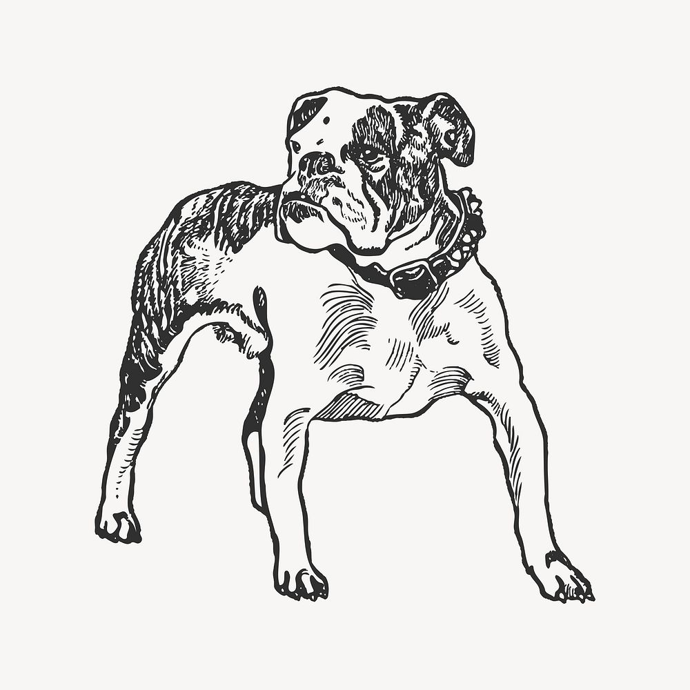 Vintage bulldog, animal collage element vector