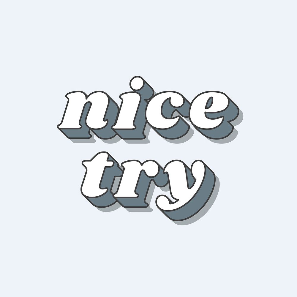 Nice Try word 3d typography vector