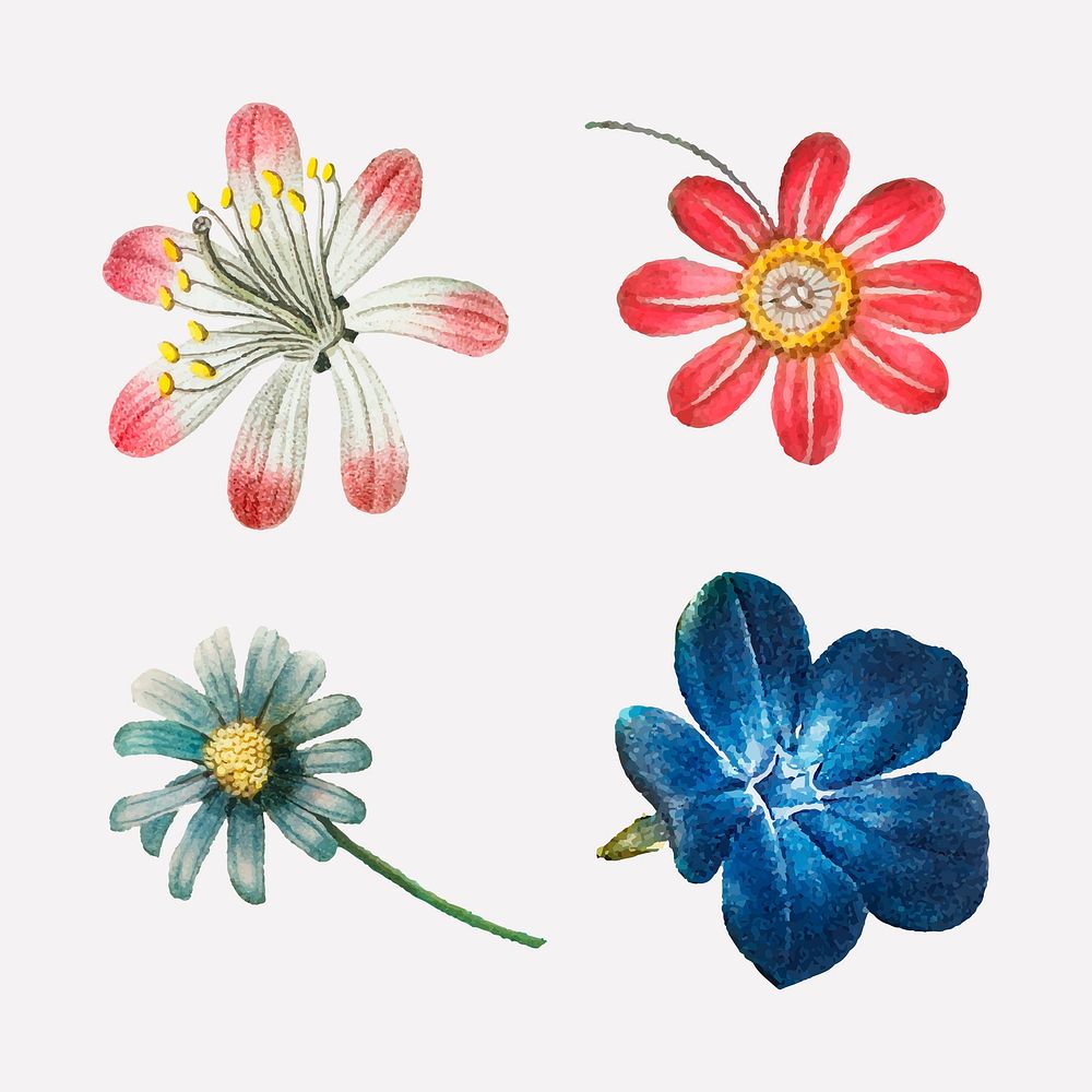 Pink and blue flower set vintage illustration