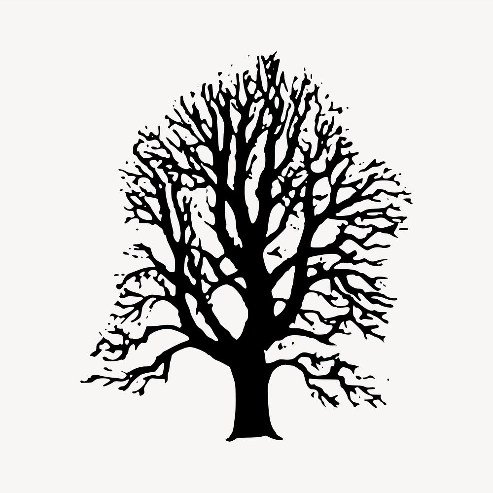 Tree black & white illustration. Free public domain CC0 image.