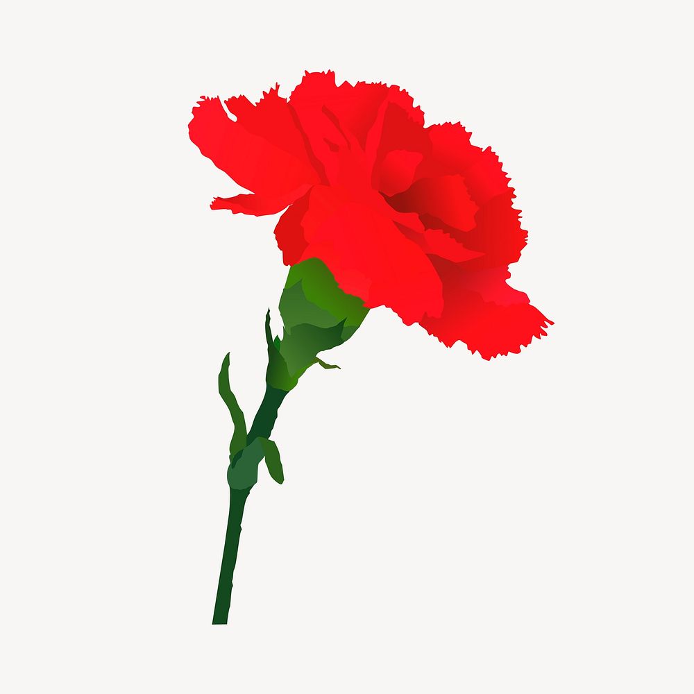 Red carnation collage element illustration vector. Free public domain CC0 image.