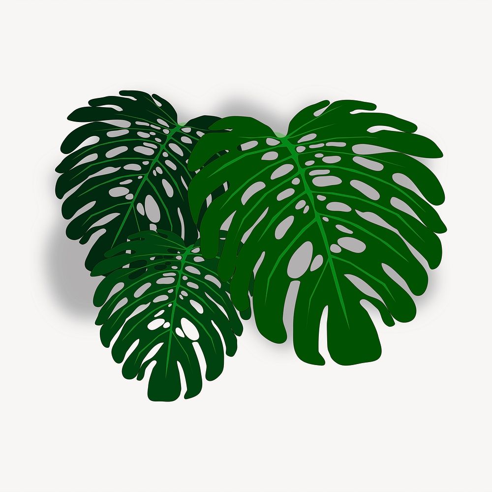 Monstera leaf collage element illustration vector. Free public domain CC0 image.