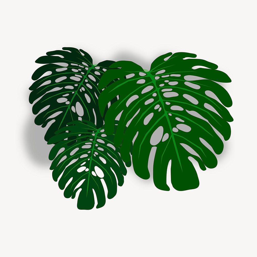 Monstera leaf clipart illustration psd. Free public domain CC0 image.