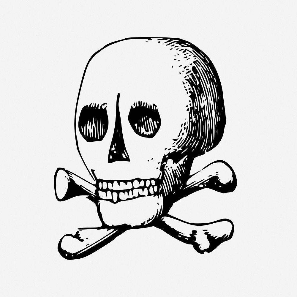 Skull and crossbones illustration. Free public domain CC0 image.
